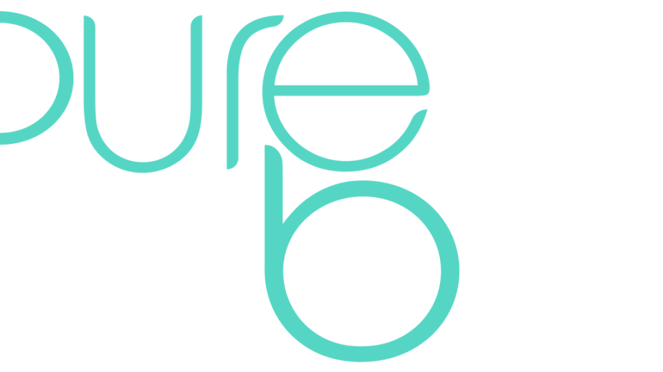 Logo erotické stanice Pure Babes