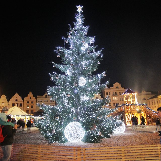 Vánoční strom na plzeňském náměstí Republiky | foto: Ladislav Němec / MAFRA / Profimedia,  Profimedia