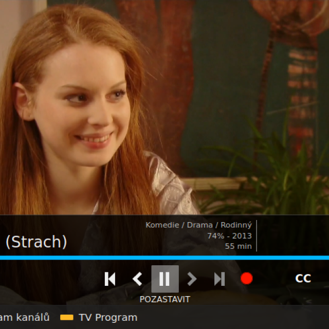 Prostředí on-line služby SledováníTV | foto: SledováníTV.cz