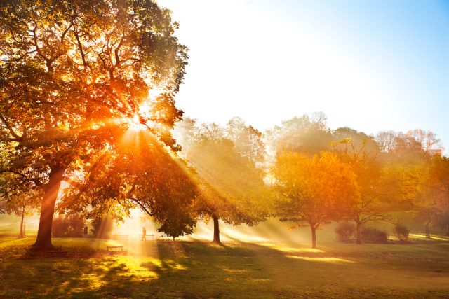 Podzim v parku | foto: Shutterstock