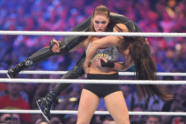 Platforma WWE Network je určena pro fanoušky wrestingu | foto: Profimedia