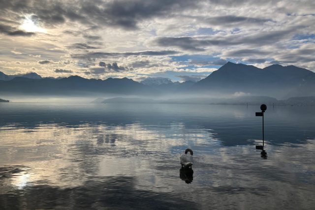 Thunské jezero ve Švýcarsku | foto: Tereza Daniell Adámková